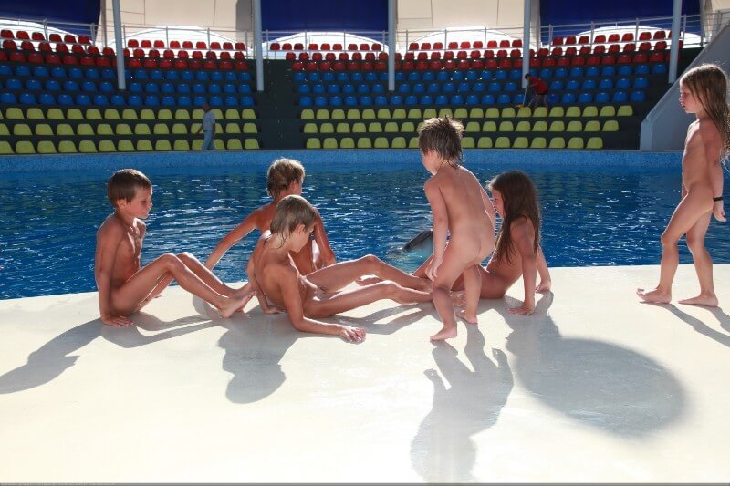 Swimming dolphins photo gallery - Naturists love movement and activity
