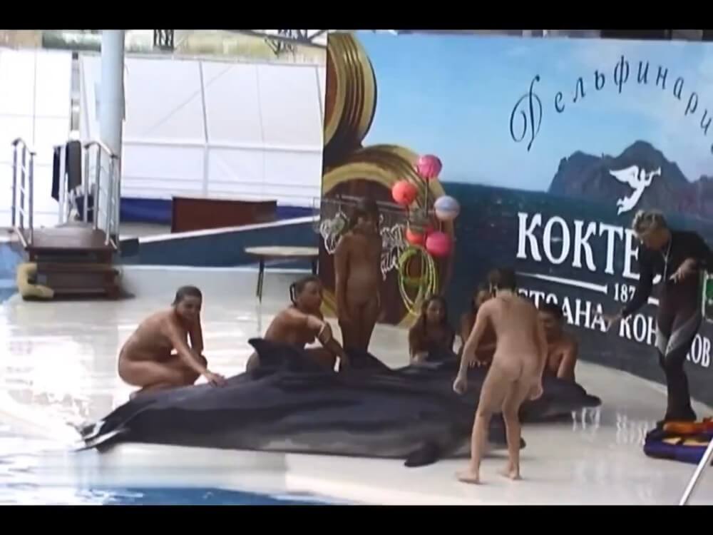 Relaxing at the dolphinarium - Naturists respect each other and those around them