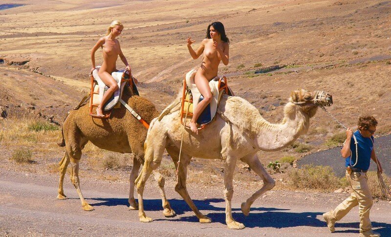 Funny Moments Life pics - Naturists value tranquility and peace